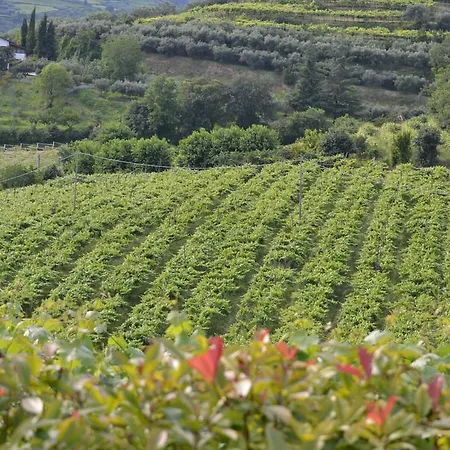 Гостевой дом Corte Tamellini