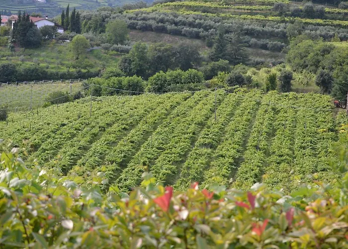 Maison d'hôtes Corte Tamellini